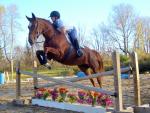 Hidden Brook Stables