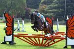 Hidden Brook Stables